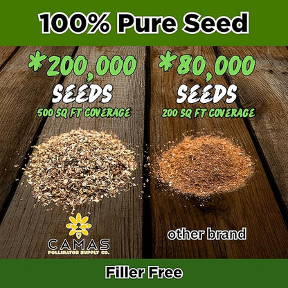 Camas Wildflower Seeds Bulk 1/4 lb – Perennial & Annual Wildflower Seed Mix for Planting Outside, Pure Seed No Fillers, Wild Flower Seeds Throw and Grow for Bees & Pollinators