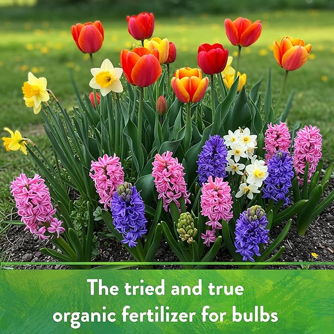 Down To Earth All Natural Fertilizers Organic Bone Meal - High Phosphorus Plant Food for Buds, Bulbs, Blooms, Flowers 3-15-0, 5 lb