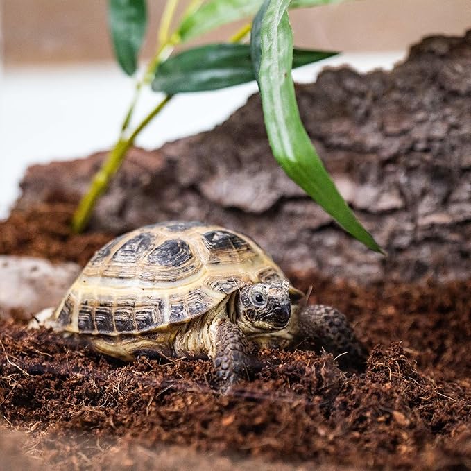Gardenera Terrarium Bedding - Premium Coco Coir, Charcoal, Pumice, and Vermiculite Blend for Thriving Plant Growth - 10 QUARTS