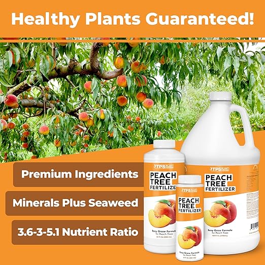 Peach Tree Fertilizer – Liquid Peach Tree Plant Food for Healthy Growth & Fruit Production, 8 oz