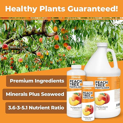 Peach Tree Fertilizer – Liquid Peach Tree Plant Food for Healthy Growth & Fruit Production, 1 Gallon