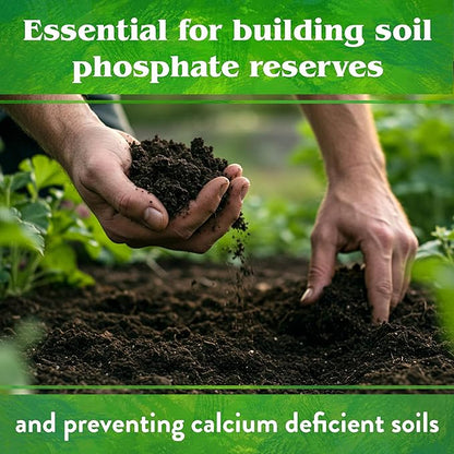 Down To Earth All Natural Fertilizers Organic Rock Phosphate - Calcium Phosphate Plant Food for Flower Beds and Vegetable Gardens 0-3-0, 5 lb