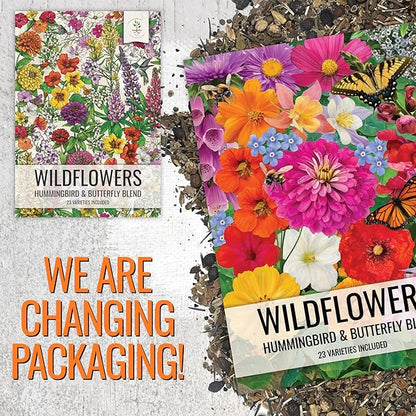 Seed Needs Wildflower Seeds Butterfly and Hummingbird Seed Mix 2 Ounce No Filler | 23 Varieties Annual & Perennial Species Such as Butterfly Milkweed, Cosmos & Zinnia | Resealable Bulk Package