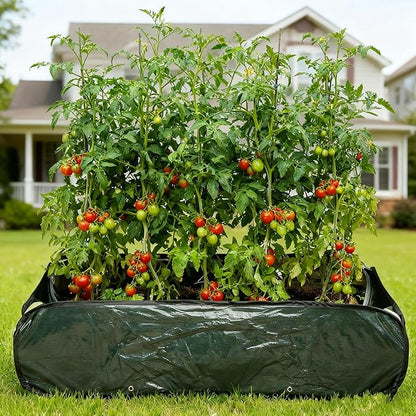 EBaokuup 47 x 24 x 12 Inch PE Pop-up Rectangular Planting Bag, Wire Support Rectangle Plant Growing Bag, UV Protected Rectangular Planter Bed for Garden Vegetable Flowers Fruit