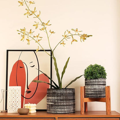 Plant Pots Indoor 2 Pack, 5 & 7 Inch Ceramic Planter Pots with Drainage Hole, Set of 2 Flower Pots - Herbs/Snake/Succulent/Orchid Cylinder Plant Pot(Black)