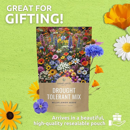Drought Tolerant Wildflowers Mix – Bulk 1 Pound Bag – Over 120,000 Open Pollinated Non-GMO Seeds – 21 Different Dryland Species