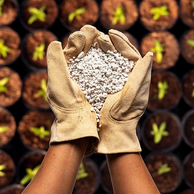 Perlite Bliss (1 Cubic Ft) - Organic Perlite for Plants Indoor Soil Amendment - Bulk Perlite for Gardening & Seed Starting - Mixes Easily with Potting Soil, Vermiculite, & Coco Coir for Plants