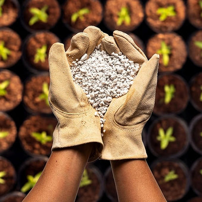 Seed Starting Potting Mix - Coco Coir 650gm Bricks (3-Pack) + Perlite Bliss + Vermiculite Bliss - Organic Potting Soil Mix - Coconut Coir Bricks - Seed Starter Soil for Indoor Plants & Outdoor Plants