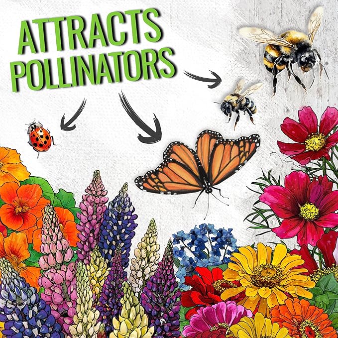 Seed Needs Butterfly Garden Bulk Seed Variety Collection - 4 Large Pouches Pure Live Seed No Filler - Crazy Cosmos, California Giants Zinnia, Crazy Sunflower & Butterfly Wildflower Mix