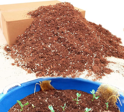 9QT Potting Soil Mix for Indoor Plants - Contains Perlite, Peat Moss, Coco Coir & Rice Charcoal, Natural & Organic Material with Well-Draining, Light & Aerated Texture for Healthy Roots & Fast Growth