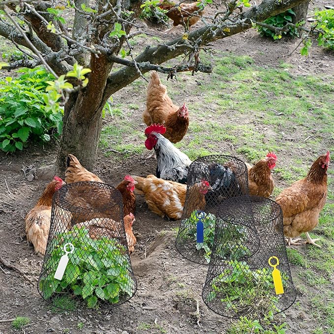 Geosar 30 Pcs 9 inch Chicken Wire Cloche Plant Protector Cover Metal Garden Cloche Dome for Plants Chicken Wire Protection Basket with Garden Stakes for Avoiding Rabbit Bird Small Animals Eat (Black)
