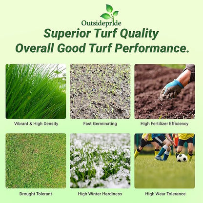 Outsidepride Royal TXD Bermuda Grass Seed Blend - 1 lb. Warm Season, Fast Growing Turf Grass Seeds: Heat & Drought Tolerant, Ideal for Home Lawns & Sports Fields, Dense & Lush Green Coverage