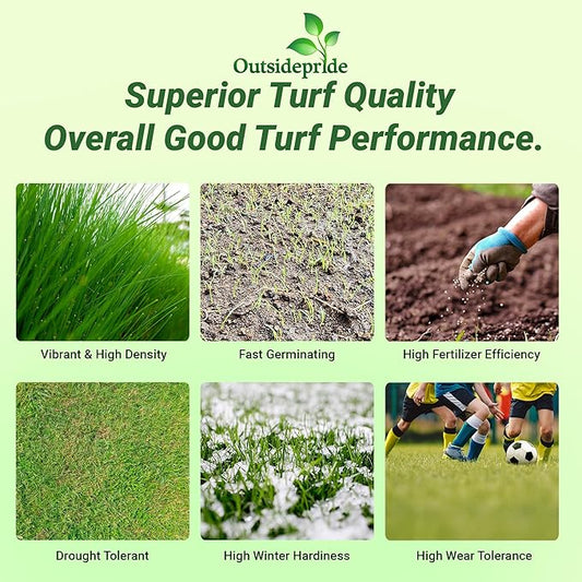 Outsidepride Royal TXD Bermuda Grass Seed Blend - 1 lb. Warm Season, Fast Growing Turf Grass Seeds: Heat & Drought Tolerant, Ideal for Home Lawns & Sports Fields, Dense & Lush Green Coverage