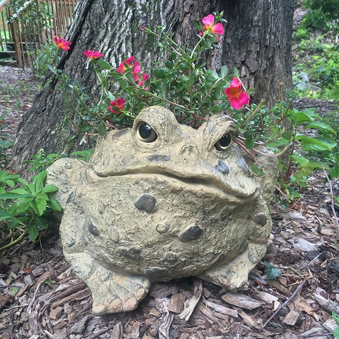 Toad Hollow HomeStyles Extra Large Toad Planter 10.5" H Holds 6" W Pot, Natural Brown