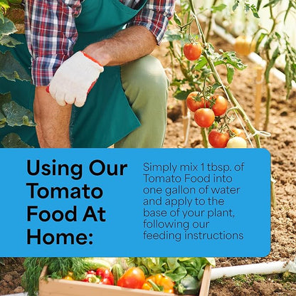 Grow More Tomato Food Fertilizer (18-18-21) - 1.5lbs of Water Soluble Tomato Fertilizer - Provides Essential Nutrients for Juicier & More Plump Crops - High Potassium Plant Food