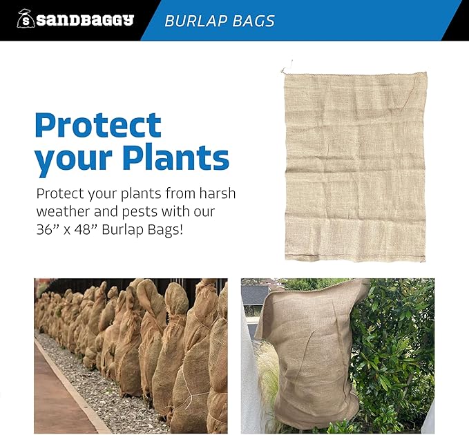 Sandbaggy 36" x 48" Extra Large Burlap Bags - Adult Potato Sack Racing, Grow, Plant Covers - Reusable Grocery Bags - Food Grade (5)