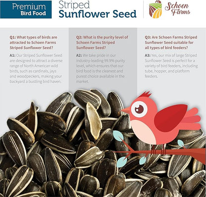 Schoen Farms Striped Sunflower Seeds – Shelled & Hulled Bird Food – 10 lb Bag – Premium Wild Bird Seed for Cardinals, Jays & Finches