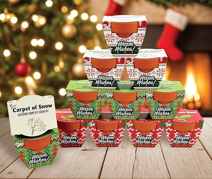 BUZZY Seeds Sweater Pattern Mini Terracotta Pots Grow Kit, 12-Pack Assorted Christmas Basil, Spruce, and Alyssum Seed Packets, Indoor Plant Starter Set, Stocking Stuffers, Party Favors