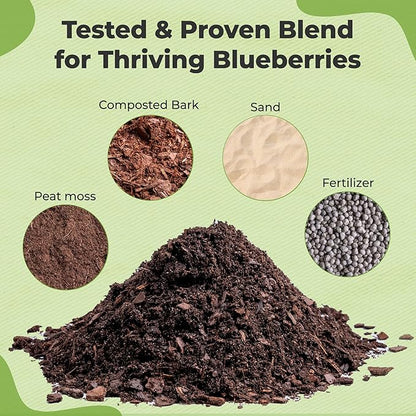 Specialty Blueberry Potting Mix by Perfect Plants | Organic Premium Mix | Use with Blueberry's, Raspberry, or Other Fruit Shrubs (8qt) (Pack of 2)