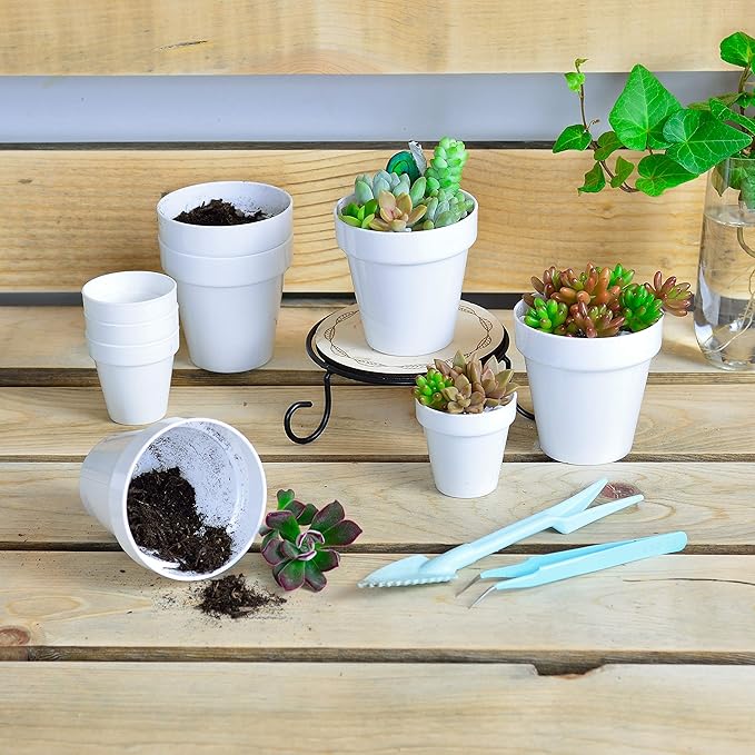 Youngever 24 Pack 2 Inch Mini Plastic Planters, Indoor Flower Plant Pots, White Gardening Pot with Drainage - NO Plant Included (Classic)