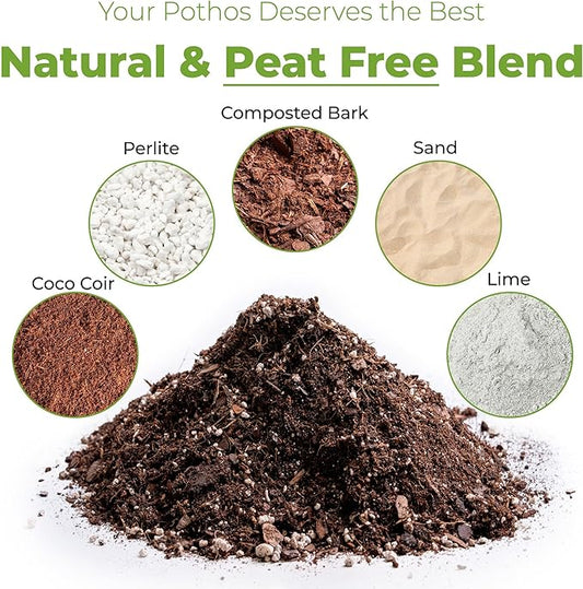 Perfect Plants Organic Pothos Soil | Horticultural Potting Mix for All Indoor Potted Pothos | Grow Healthy houseplants Indoors (4qts.)