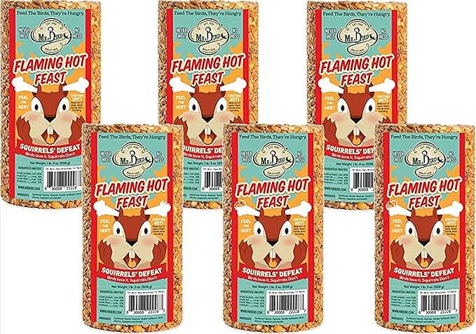 Mr. Bird 6-Pack Flaming Hot Feast Small Wild Bird Seed Cylinder 19 oz.