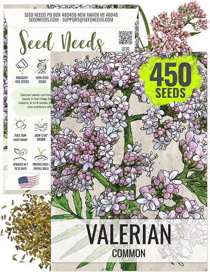 Seed Needs Valerian Seeds for Planting Stink Root Plants - Non-GMO Heirloom & Untreated Perennial Medicinal Herb Seed to Plant a Home Grown Outdoor Garden (1 Pack)