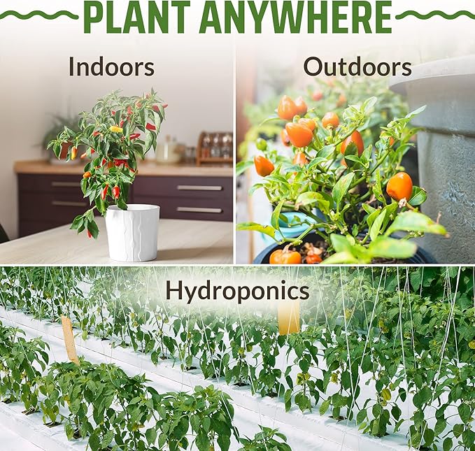 Rooted Acre 8 Varieties Hot Peppers – 240 Heirloom Seeds, High Germination – Includes Ghost, Jalapeño, Serrano, California Wonder & More – Spicy Pepper Garden Mix