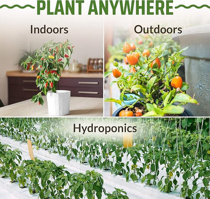 Rooted Acre 8 Varieties Hot Peppers – 240 Heirloom Seeds, High Germination – Includes Ghost, Jalapeño, Serrano, California Wonder & More – Spicy Pepper Garden Mix