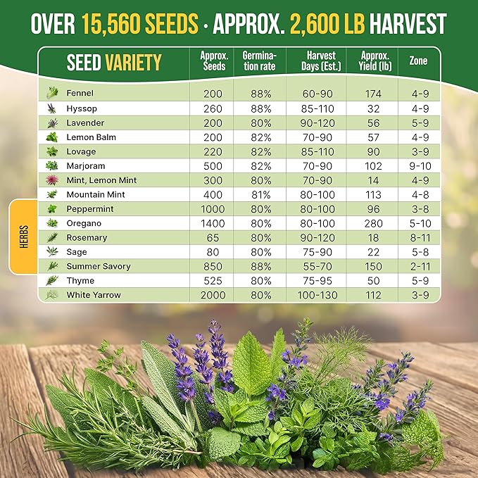 Organo Republic 30 Medicinal & Tea Herb Seeds Variety Pack 15,560+ Non-GMO Heirloom Garden Seeds for Indoor & Outdoors, Including Anise, Bergamot, Borage, Cilantro, Chamomile, Dandelion Seeds