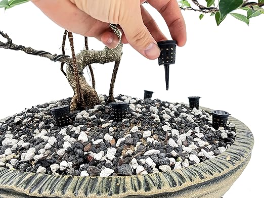 Bonsai Fertilizer Baskets (10pcs) by The Bonsai Supply