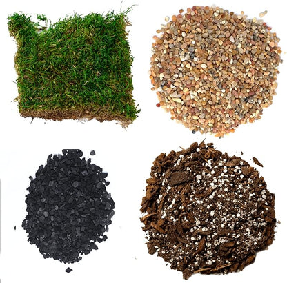 Succulent Planter Kit - Terrarium Kit with Succulent Soil, Gravel, Pebble, Moss,