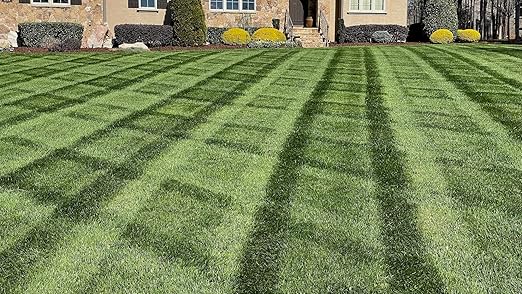 Almighty 20-0-10 Lawn Fertilizer (18 lbs.) – Professional Slow-Release Nitrogen Formula with NuTrace Micronutrients – Deep Green Lawn Color, Strong Roots & Drought Stress Recovery