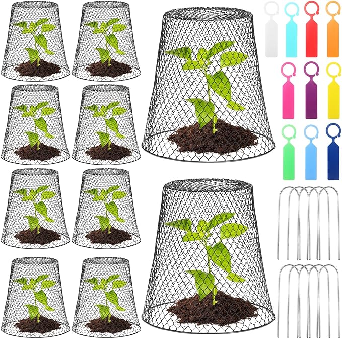 Geosar 10 Pcs 9 inch Chicken Wire Cloche Plant Protector Cover Metal Garden Cloche Dome for Plants Chicken Wire Protection Basket with Garden Stakes for Avoiding Rabbit Bird Small Animals Eat (Black)