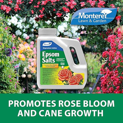 Monterey Epsom Salts Magnesium Sulfate Bundled with Measuring Spoon – 4lbs – Promotes Rose Bloom & Cane Growth, Enhances Chlorophyll Production, Boosts Phosphorus Absorption