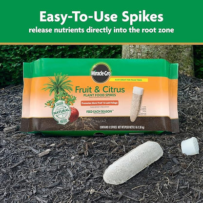 Miracle-Gro Fruit & Citrus Plant Food Spikes - 10-15-15 NPK Easy-To-Use Nutrition for Fruit and Citrus Trees, Plant Fertilizer, 12 Spikes, 3 lb.