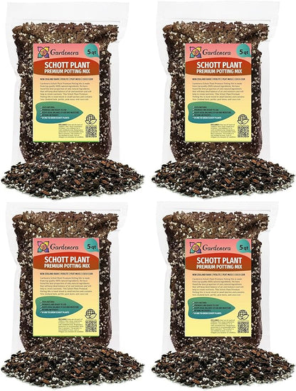GARDENERA Monstera Lechleriana Schott Soil Mix - Trusted by Experts for Strong and Healthy Plants - 20 Quart (4 Bags of 5 Quart)