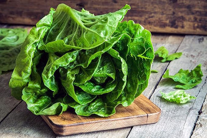 Lettuce Seeds for Planting Variety Pack - 5 Types of Lettuce - Buttercrunch, Parris Island Cos, Oakleaf, Little Gem, and Iceberg