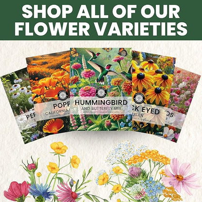California Poppy Orange - Large 5g Envelope - 2,000 Flower Seeds for Planting - Eschscholzia californica