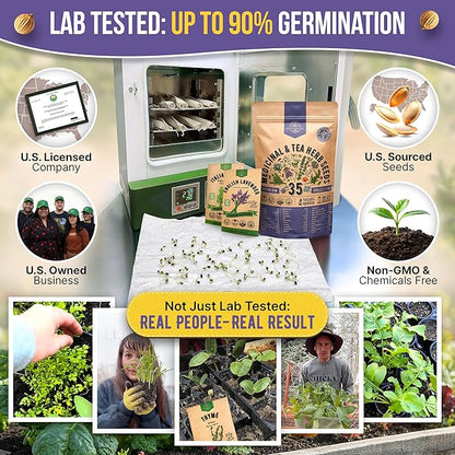 35 Medicinal & Tea Herb Seeds Variety Pack for Indoor & Outdoors. 16,335+ Non-GMO Heirloom Garden Seeds: Anise, Bergamot, Borage, Cilantro, Chamomile, Dandelion, Rosemary Seeds & More