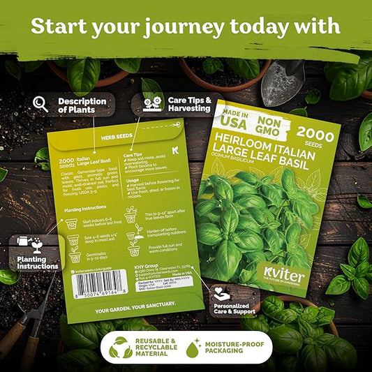 KVITER 2000 Italian Basil Seeds for Planting (Ocimum basilicum) - Sweet Genovese Basil, Heirloom & Non GMO, Classic Pesto Flavor - Herb Seeds to Plant in Containers, Outdoor & Indoor Herb Garden