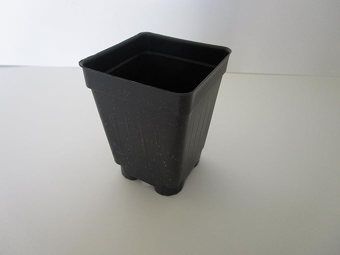 2.5" Square Extra Deep Landmark Nursery Pots - Press Fit (250)