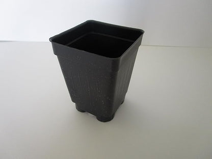 2.5" Square Extra Deep Landmark Nursery Pots - Press Fit (250)