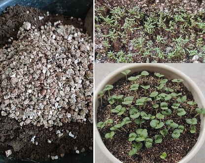 5QT Organic Vermiculite Granules for Plants and Gardening