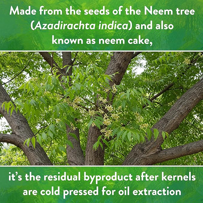 Down To Earth All Natural Fertilizers Organic Neem Seed Meal, Plant Food for Vegetable Gardens and Raised Beds 6-1-2, 5 lb