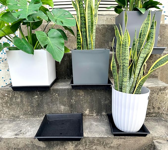 Square Plant Saucer 8 Inch 2 Pack 6 8 10 12 14 16 18 20 Inch, Plant Trays for Pots Heavy Duty Plastic Plant Saucers for Indoors Outdoors, Flower Pot No Holes Plant Drip Trays