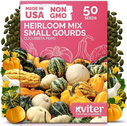 KVITER 50 Small Gourd Seeds Mix (Cucurbita Pepo) – Ornamental Fall Decor Gourds, Non GMO & Organic – Perfect Heirloom Seeds for Planting Decorative Gourds in Vegetable Garden