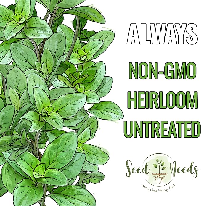 Seed Needs Sweet Basil & Italian Oregano Seeds for Planting Fresh Kitchen Herbs - Non-GMO Heirloom & Untreated Perennial & Annual Herb Seed to Plant a Culinary Garden Indoors or Outdoors (2 Packs)