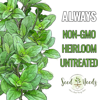 Seed Needs Sweet Basil & Italian Oregano Seeds for Planting Fresh Kitchen Herbs - Non-GMO Heirloom & Untreated Perennial & Annual Herb Seed to Plant a Culinary Garden Indoors or Outdoors (2 Packs)