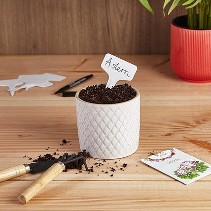 OwnGrown Plant Markers: 120 Plastic Plant Name Tags and Weatherproof Marker Pen – Plant Labels Wooden – Seedling Labels – Gardening Name Tags